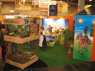 Utazás 2008